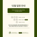 포레스트12 이미지