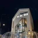 솔로투분당점 이미지