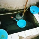 개이발소 이미지