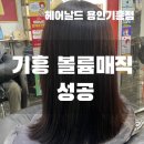 유라플레이스 | 용인 기흥 볼륨매직 후기｜차분하게 잘 나온 헤어날드 방문기