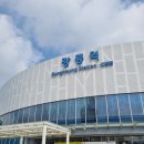 2일차, 강릉 브라운도트와 즐기는 안목해변 카페거리와 강릉중앙시장맛집