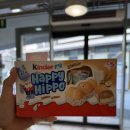 알짜고기 | 당일치기 돌로미티 투어 알짜투어 후기 차승원 가이드 내돈내산 후기