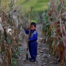 영하농장 이미지