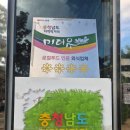 계룡산약초사슴농장 | 공주 맛집 한식 추천 계룡산 맛집 한식 공주 계룡산 신원사 주변맛집 한정식 밥꽃하나피었네 다녀온 후기