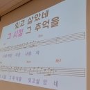 2022.11.10 이천이마트 이자영 명품 노래교실 / 미운사람아 이미지