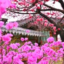 파리바게트춘천명동점 이미지