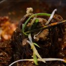 고창면옥 고창본점 이미지