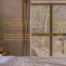 펜션 향 이미지