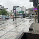 더숲 에스테틱 이미지