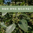 지리산토종먹거리