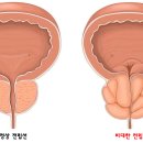 영맨남성의원 이미지