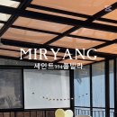 세인트354 이미지