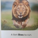 파란나라유치원 | [공지] 맘글 플레이월드 총정리 | 영어학원 원장 엄마의 19개월 아기 영어노출 후기 ✨