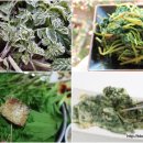 전호농장 이미지