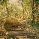 평지경로회관 이미지