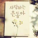 드라마2015