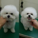 반디동물병원 이미지