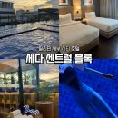 호텔24블럭 | 필리핀 세부 시티 호텔 세다센트럴블록 조식 수영장 찐만족 후기