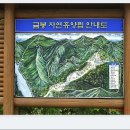 금봉자연휴양림 이미지