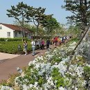 부산시민공원 문화예술촌 이미지