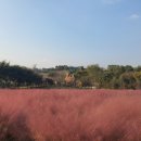 행운목장 이미지