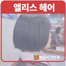 엘리스헤어 | 창원 안민동 미용실 단발 테슬 컷 잘하는 엘리스헤어