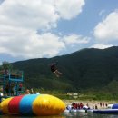 영월스키 이미지