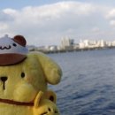 양화 택시승강장 이미지