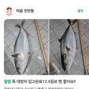 미윤 이미지