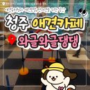 와글와글댕댕 이미지