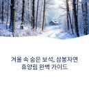 삼봉자연휴양림 겨울 여행, 꼭 알아야 할 모든 것