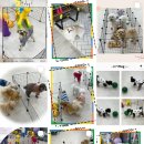 더 예쁘개 이미지