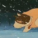 플란다스의 개 이미지