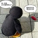 [2025] 28살 이소희.