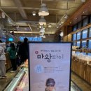 마왕파이 필수 명장이 만드는 제과점 , 베비에르 풍암 본점 ｜ 풍암동