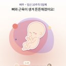 참 등갈비 촌 | 임신 10주차: 배초음파 보는 시기, 베이비샤워, 임산부 푸룬 부작용