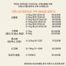 풍천대봉감농원 | 나주배 풍천 농원 태주 단감 구매후기