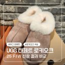 오크 | 어그부츠 타제트 슬리퍼 로키오크 색상 비교, 후기