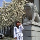 목련태권도 이미지