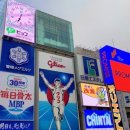 싱그루 이미지