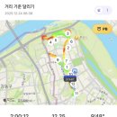 달림활어 | [12월 넷째 주] 주간일기라 쓰고 운동일기라 읽는다
