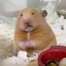 토인즈 이미지
