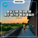 신화돌담집 | 아기랑 제주 풀빌라 펜션 어디가 좋을까? 수영장 있는 표선돌담집