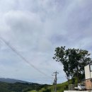 [일본 여행]삿포로 동구리 베이커리 본점_먹어본 후기