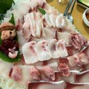 서울 종로 회/해산물 맛집 ‘영진수산’ 내돈내산 후기