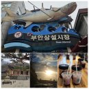 이레농장 | 전북 부안여행 부안상설시장 내소사 채석강 뽕디이레농원 가볼만한곳