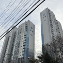 해르트 | 경산 하양 두바이 쫀득쿠키 카페 해르트