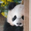 대왕세탁소 이미지