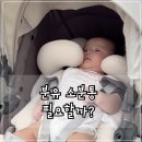 분유 소분팩만 쓰다가 결국 분유 케이스 샀어요(+티지엠 호박마차 분유 케이스 후기)