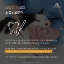 광명 24 아이디동물의료센터 이미지